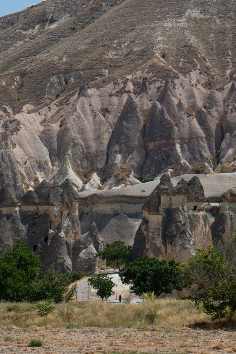DSC01245